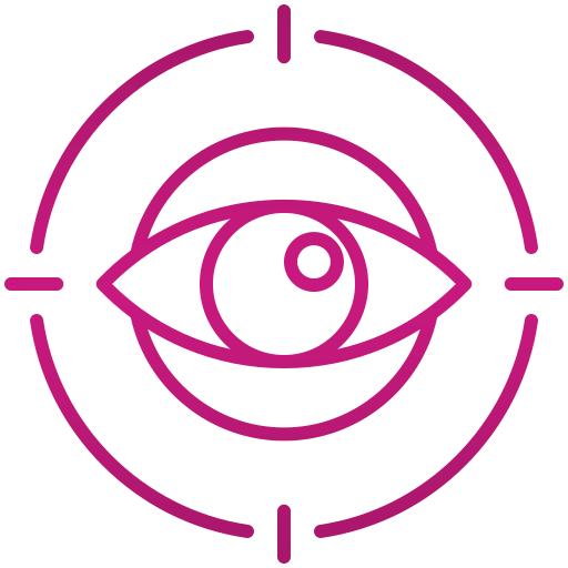 VISION